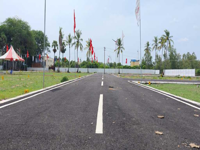 View 1