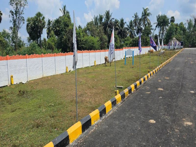 View 1