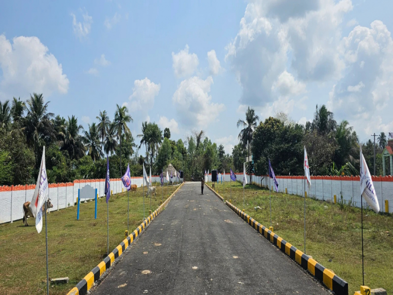 View 1