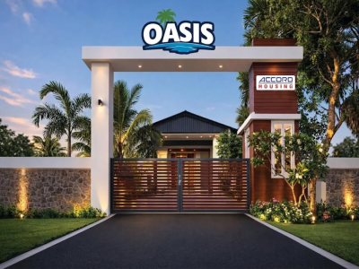Oasis