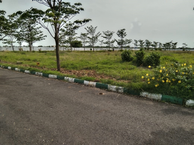 View 1