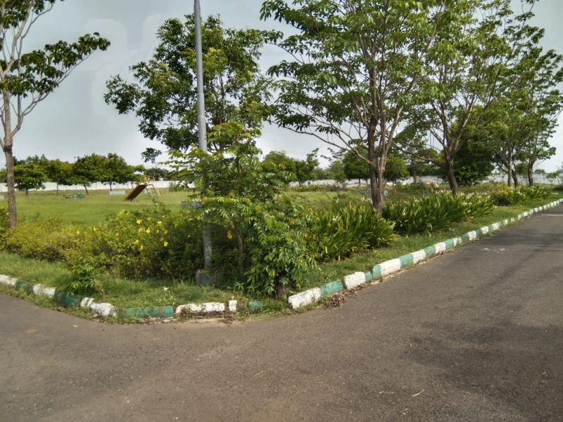 View 1