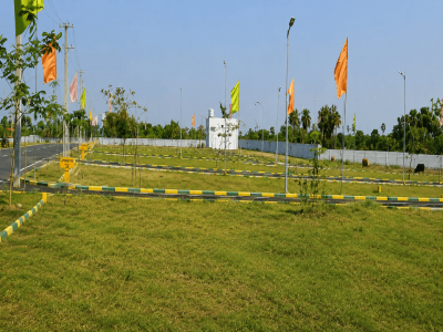 VVN School City