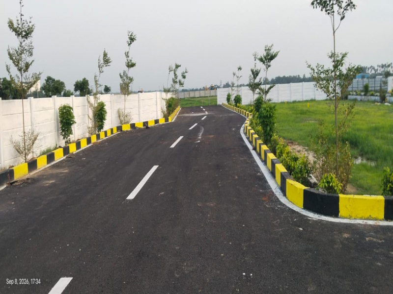 View 1