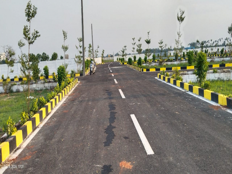 View 1