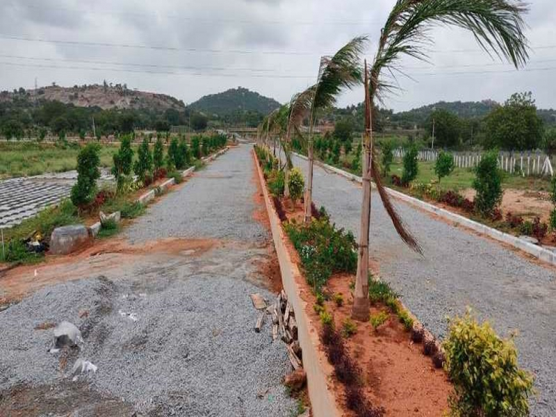 Landmark Divine Meadows