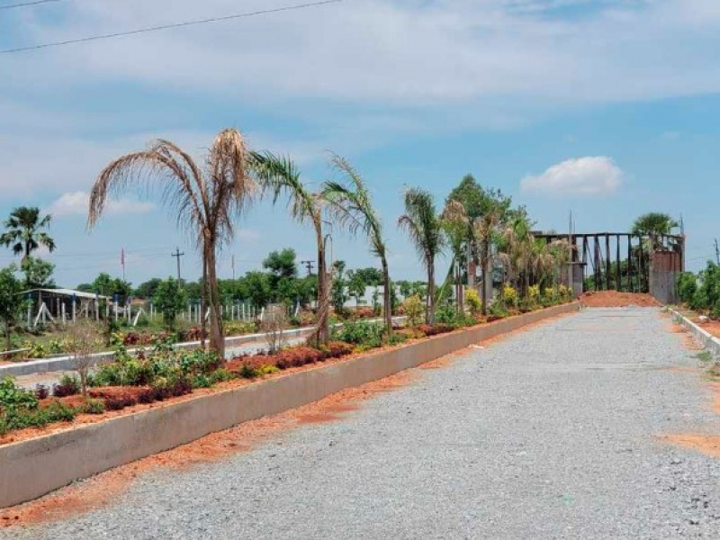 Landmark Divine Meadows