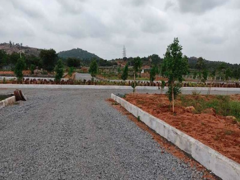 Landmark Divine Meadows