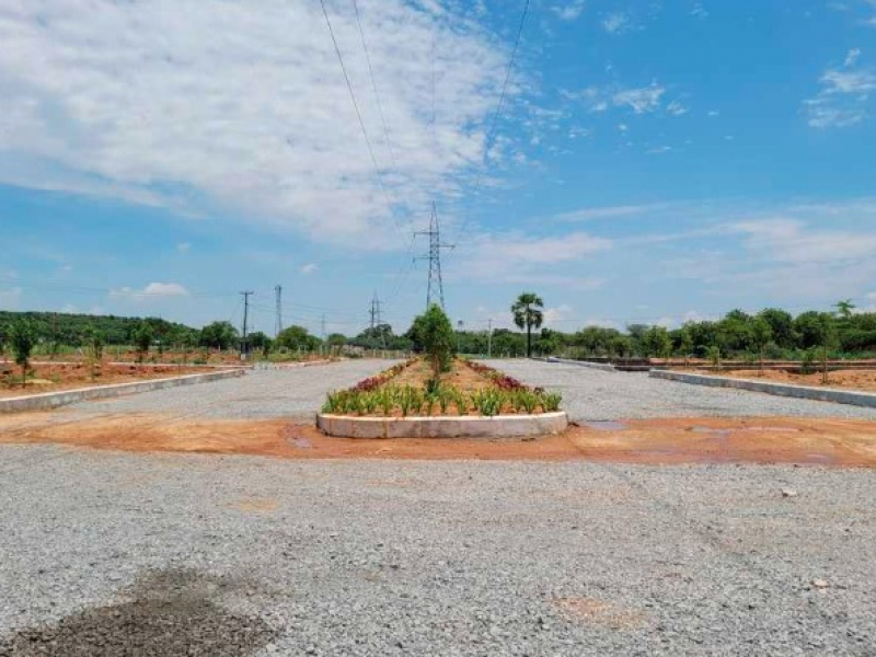 Landmark Divine Meadows