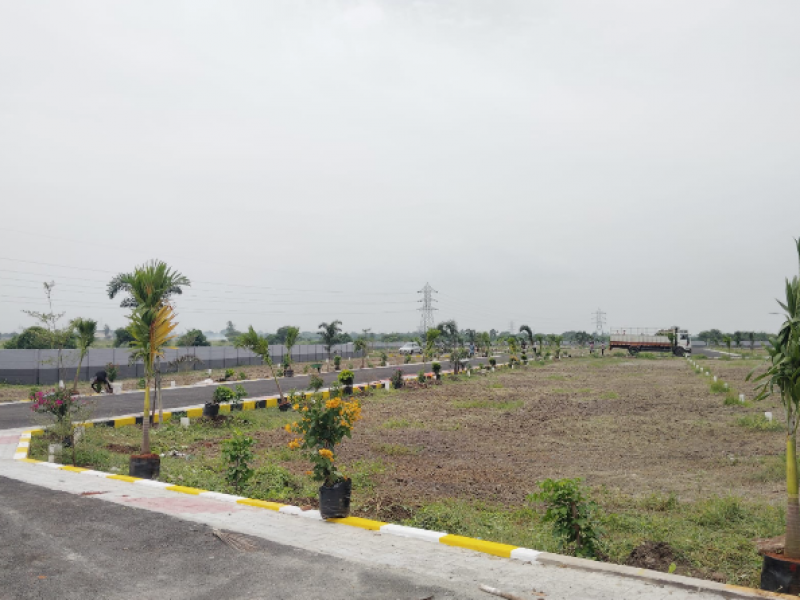 View 1