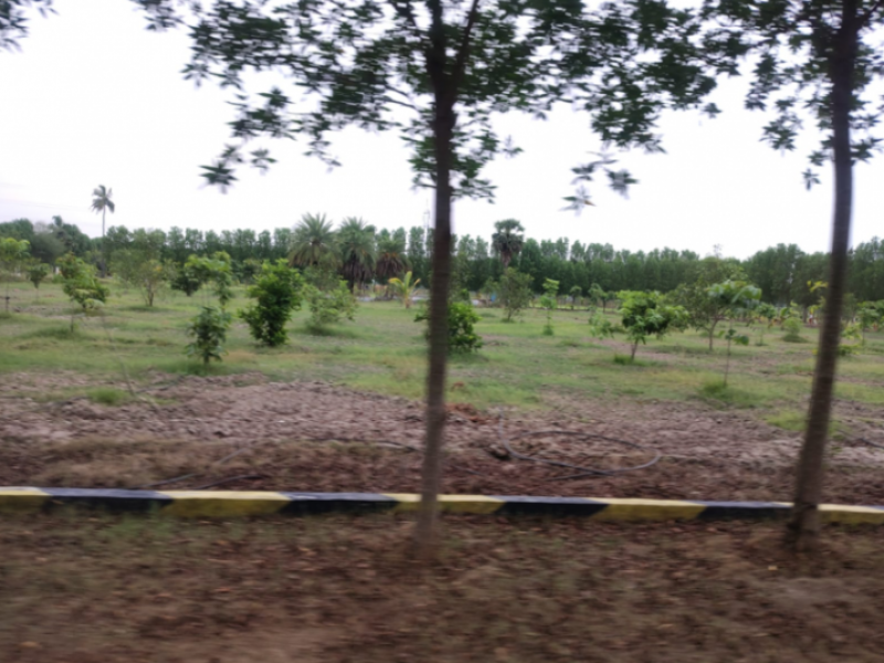 View 1