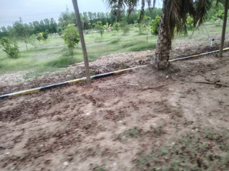 View 1