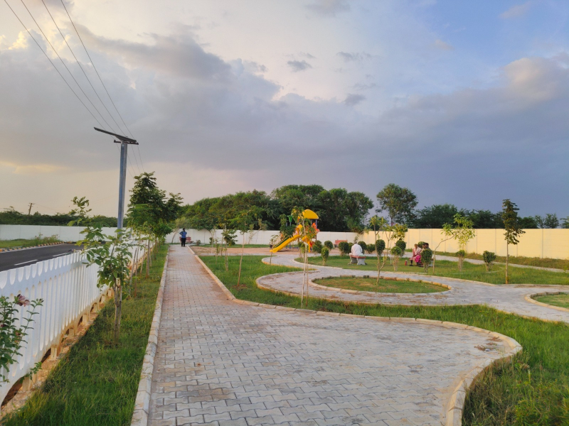 View 1