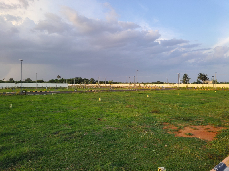 View 1