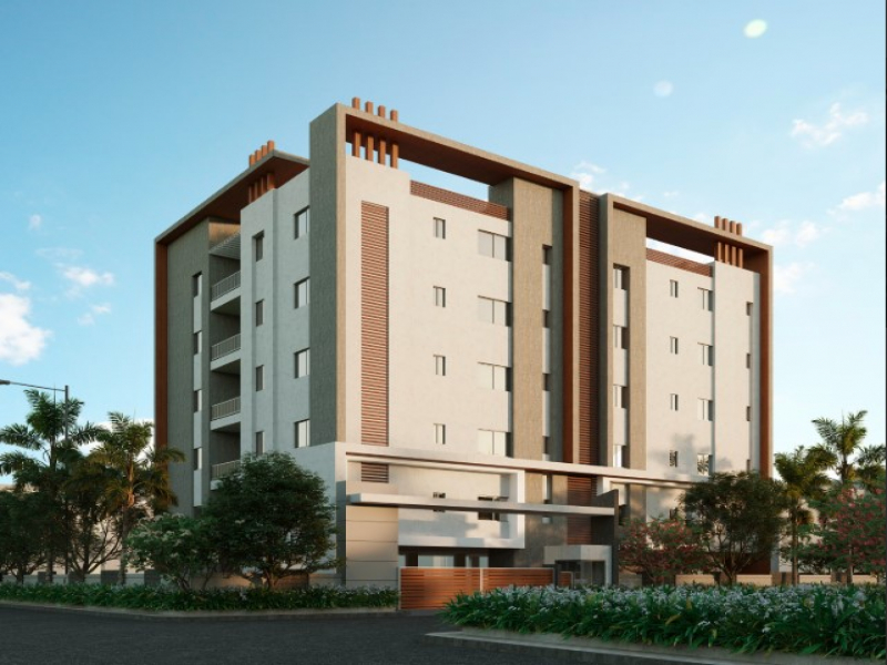 Doyen Ascent Pelican