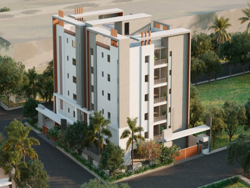 Doyen Ascent Pelican