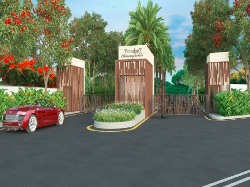 Trendset Bloomfields