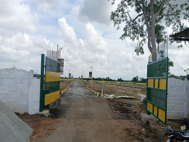 View 1