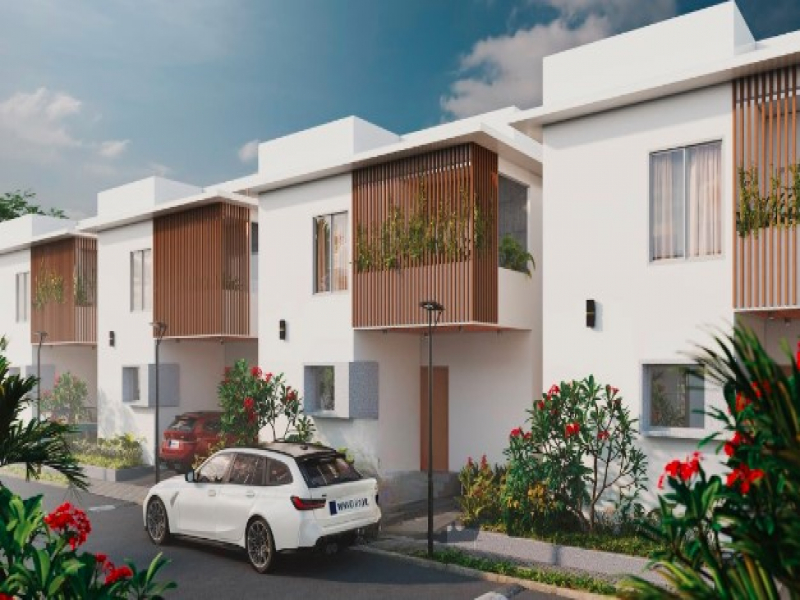 Sark South Meadows 1