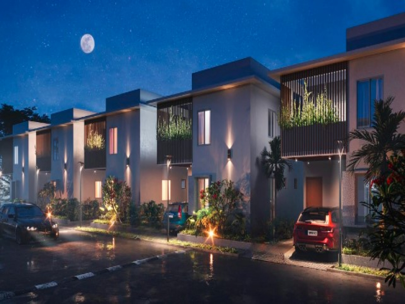 Sark South Meadows 1