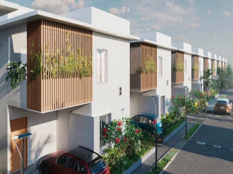 Sark South Meadows 1