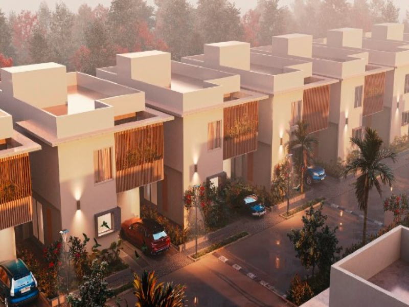 Sark South Meadows 1