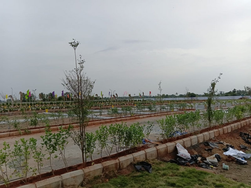View 1