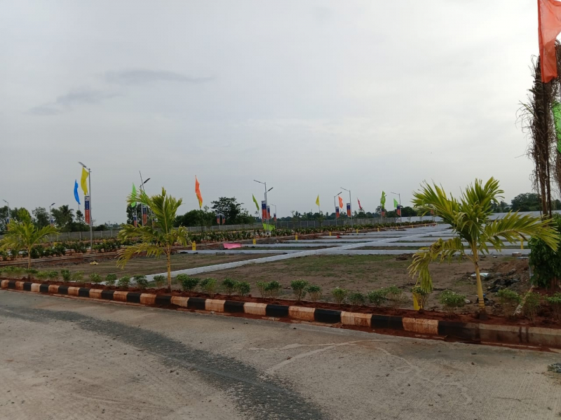 View 1