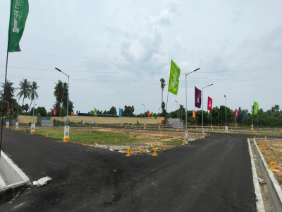 Evergreen City