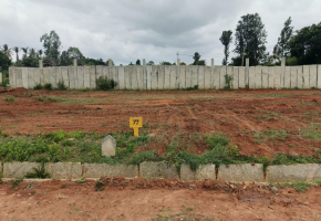1500 Sq.Ft Plot for sale in Devanahalli