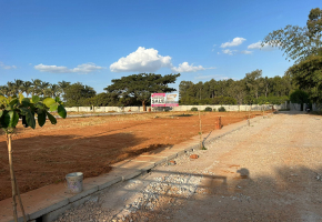 1200 Sq.Ft Plot for sale in Kannuru