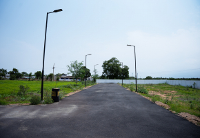 1098 Sq.Ft Plot for sale in Pattanam