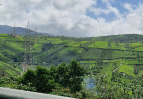 1 Acres Plot for sale in Kotagiri