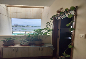 3 BHK Flats for sale in Balagere