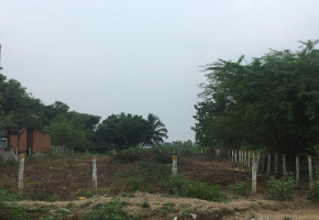 38 Cents Plot for sale in Sivagiri