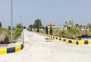 250 Sq.Yards Plot for sale in Gollur