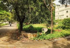 2400 Sq.Ft Plot for sale in Jakkur