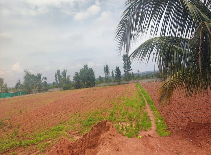 Commercial Land for sale in Devanahalli