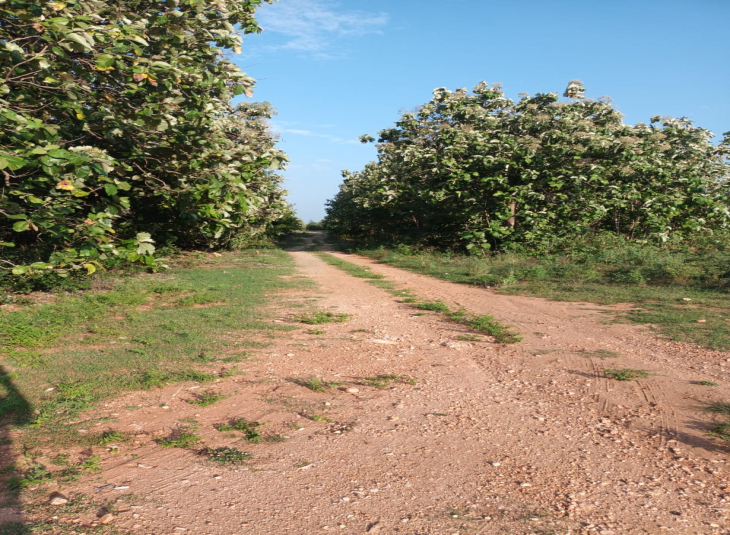 4800 Sq.Ft Plot for sale in Periyanaickenpalayam