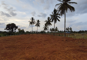 55539 Sq.Ft Plot for sale in Hoskote