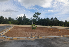 1600 Sq.Ft Plot for sale in Kariampalayam