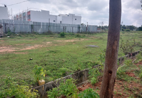 3875 Sq.Ft Plot for sale in Sarjapur