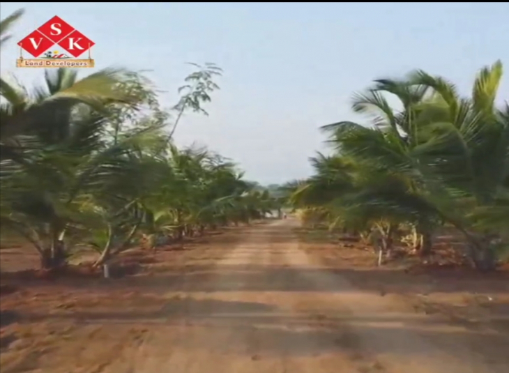 25 Cents Plot for sale in Sirumugai