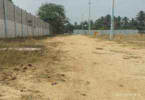 1200 Sq.Ft Plot for sale in Kannuru