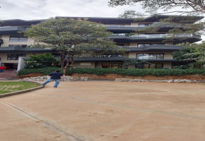 3 BHK Flats for sale in Chikkakannalli