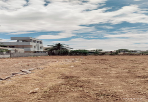 1055 Sq.Meter Plot for sale in GN Mills