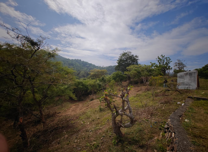 Agricultural farm land for sale in ANAIKATTI