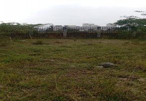1200 Sq.Ft Plot for sale in Tambaram