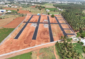 13 Acres Plot for sale in Pattanam