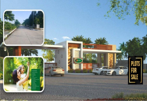 200 Sq.Yards Plot for sale in Velimela